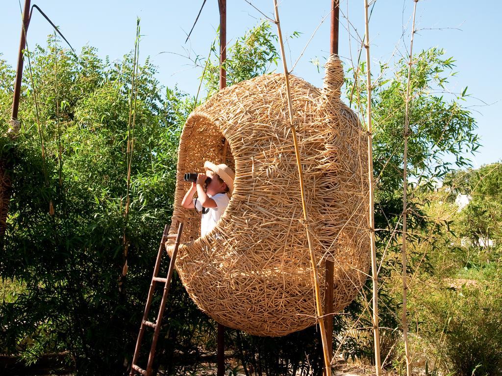 Simondium Babylonstoren מראה חיצוני תמונה
